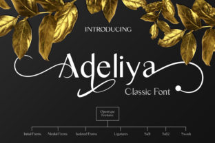 Adeliya: A Classy Serif Font