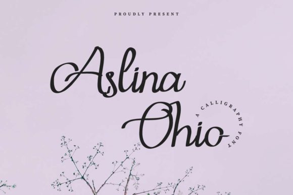 Aslina Ohio: The Handwritten Font That Elevates Small Brands
