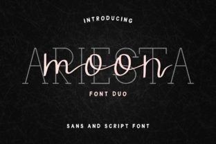 Boost Campaign Clarity with Ariesta Moon Duo Typeface