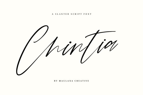 Chintia: A Designer's Honest Review for Branding