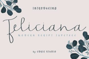 Feliciana Font: Elevate Your Handmade Brand with Elegant Script