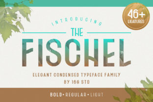 Fischel Family Font for Business