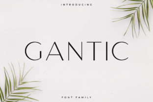 Gantic: A Font for Polished Branding