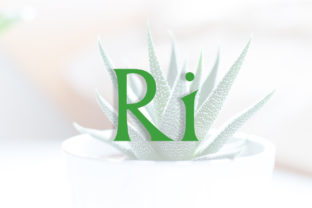 Ri: A Serif Font for Elegant Design
