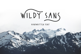 Wildy Sans: Modern Typography for Web Design